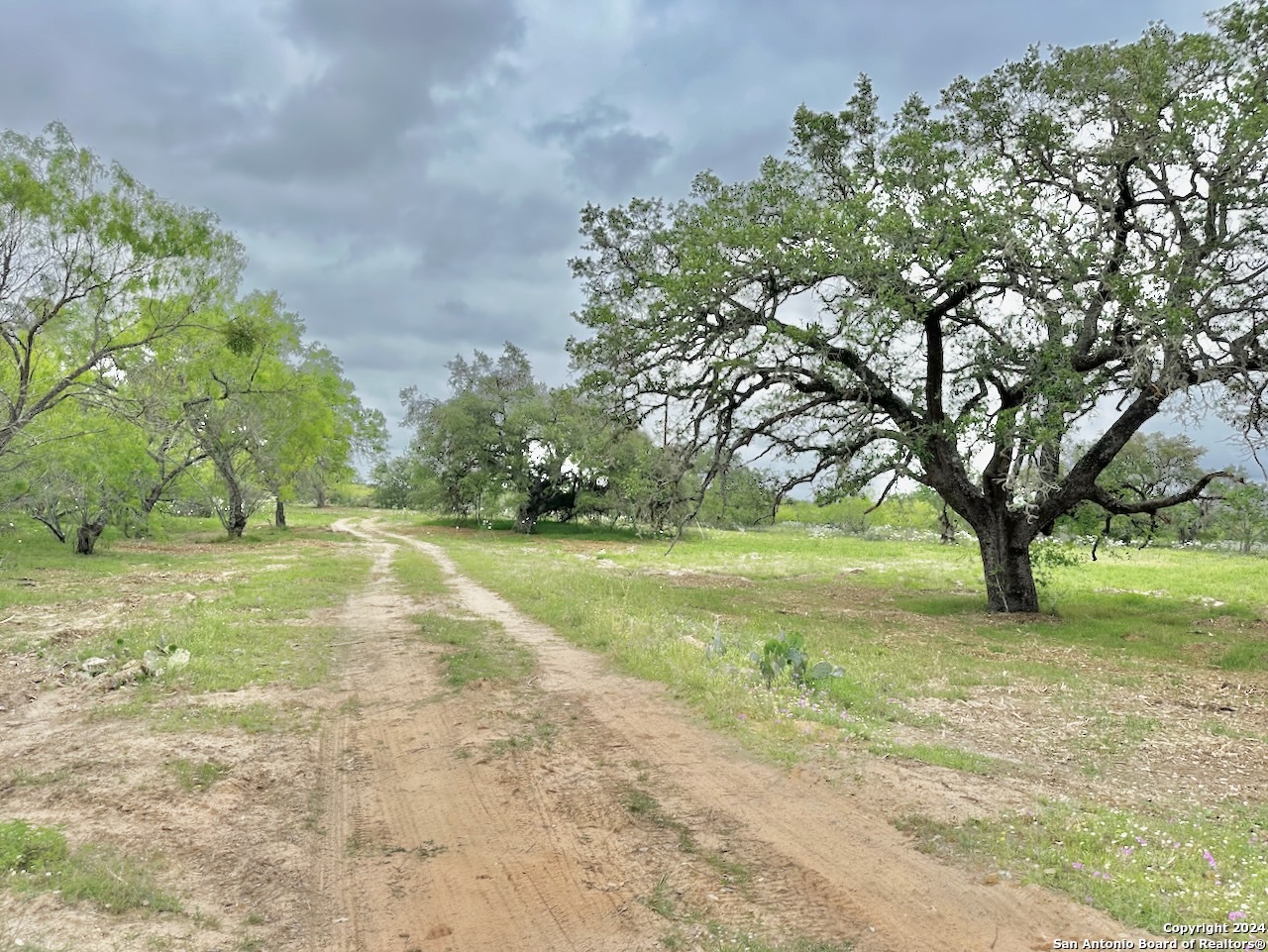 7711 Devine Tx 78016 Devine, TX 78016 - Photo 2 of 51 a view of yard with green space