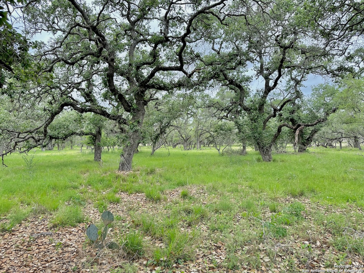 7711 Devine Tx 78016 Devine, TX 78016 - Photo 22 of 51 a view of yard with green space