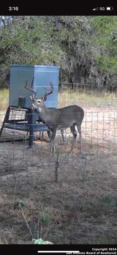 7711 Devine Tx 78016 Devine, TX 78016 - Photo 25 of 51 a view of a lake with outdoor space