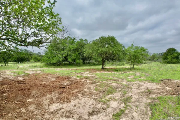 a view of a field of grass and trees