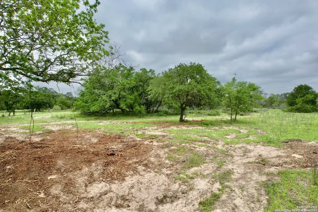 a view of a field of grass and trees