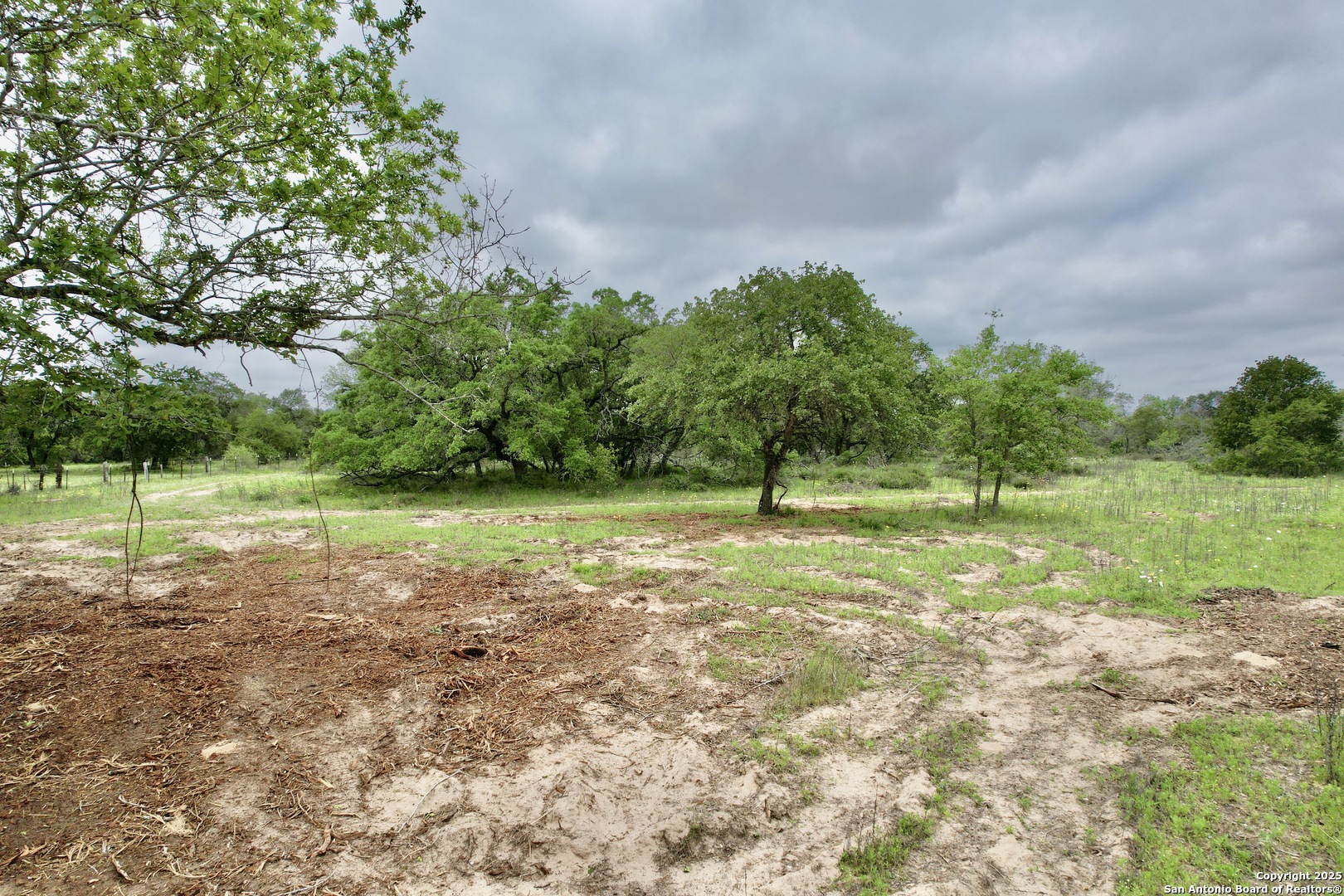 7711 Devine Tx 78016 Devine, TX 78016 - Photo 27 of 51 a view of a tree in a park