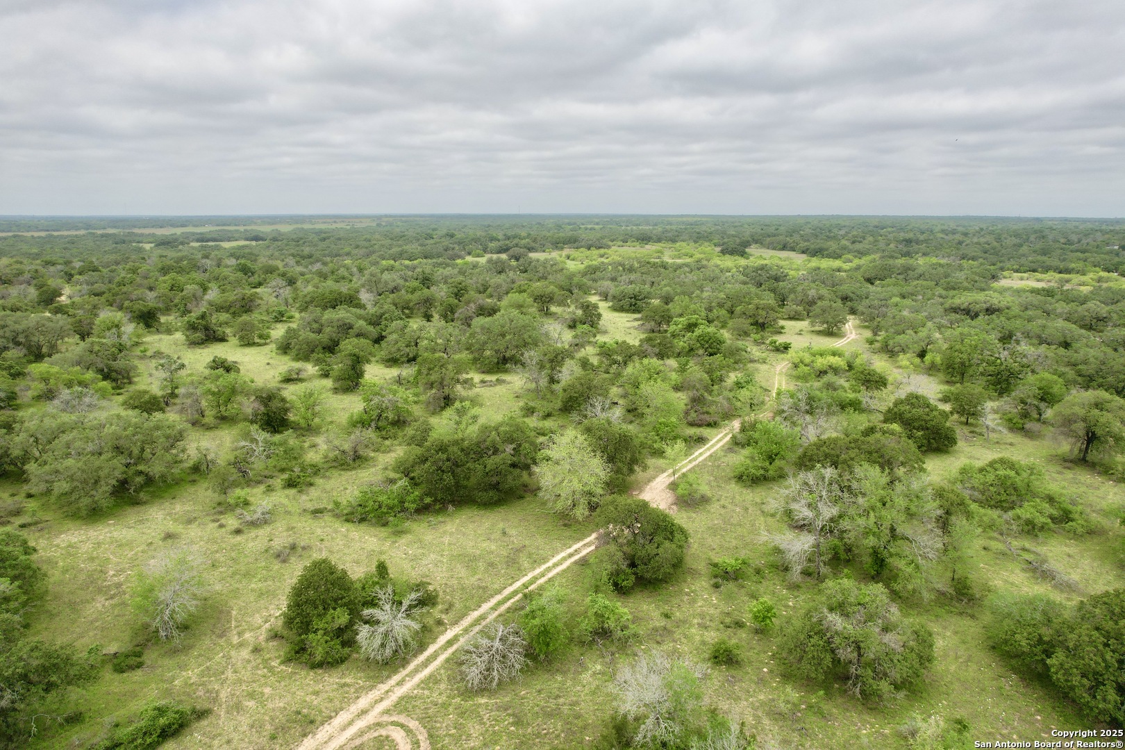 7711 Devine Tx 78016 Devine, TX 78016 - Photo 28 of 51 an aerial view of residential houses with outdoor space and trees