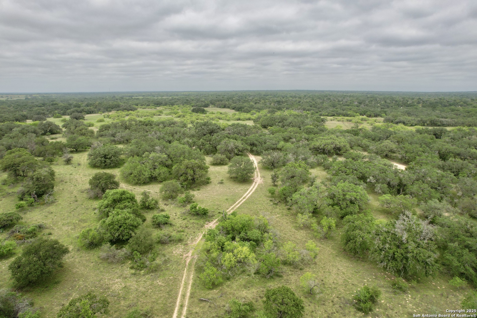 7711 Devine Tx 78016 Devine, TX 78016 - Photo 29 of 51 a view of a field of grass and trees