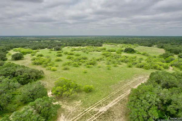 a backyard of a house with lots of green space and garden