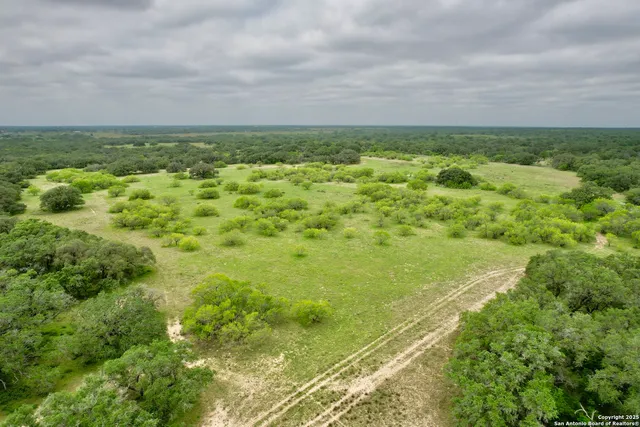 a backyard of a house with lots of green space and garden
