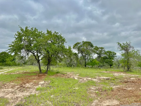 a big yard with lots of green space and trees
