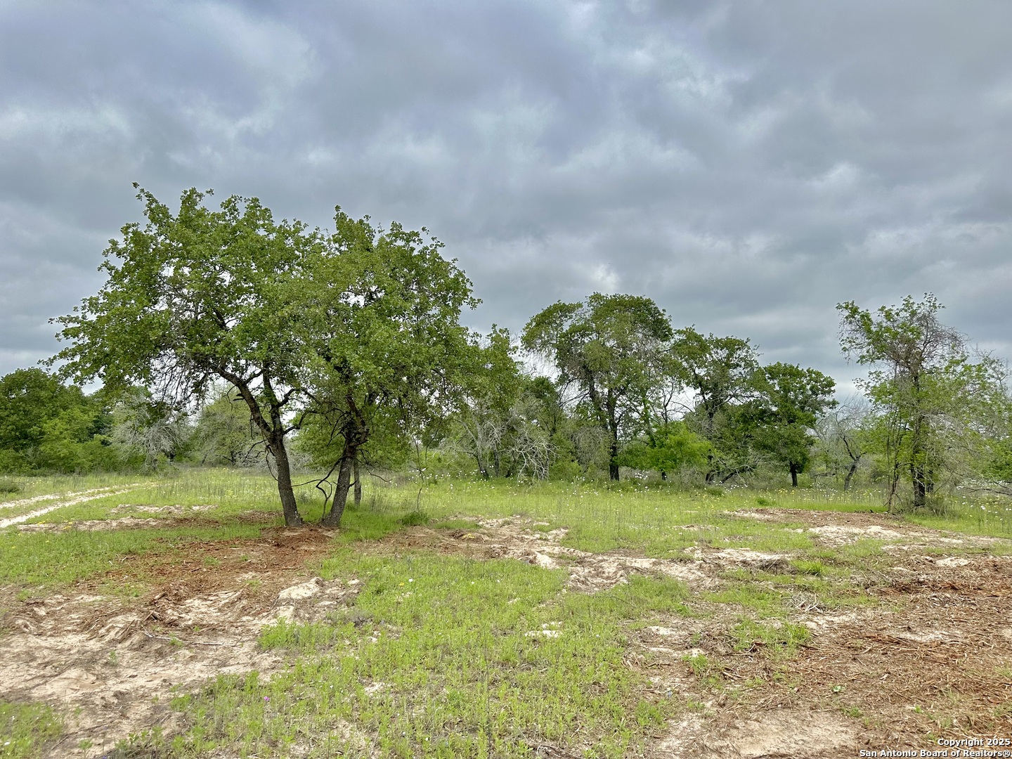 7711 Devine Tx 78016 Devine, TX 78016 - Photo 31 of 51 a view of a garden with a tree