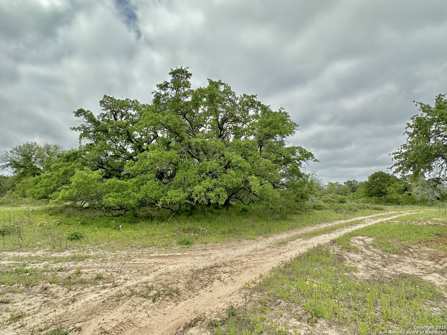 7711 Devine Tx 78016 Devine, TX 78016 - Photo 32 of 51 a backyard of a house with lots of green space and garden