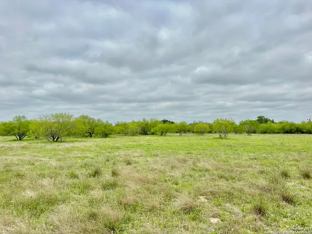 a view of a big yard with lots of green space