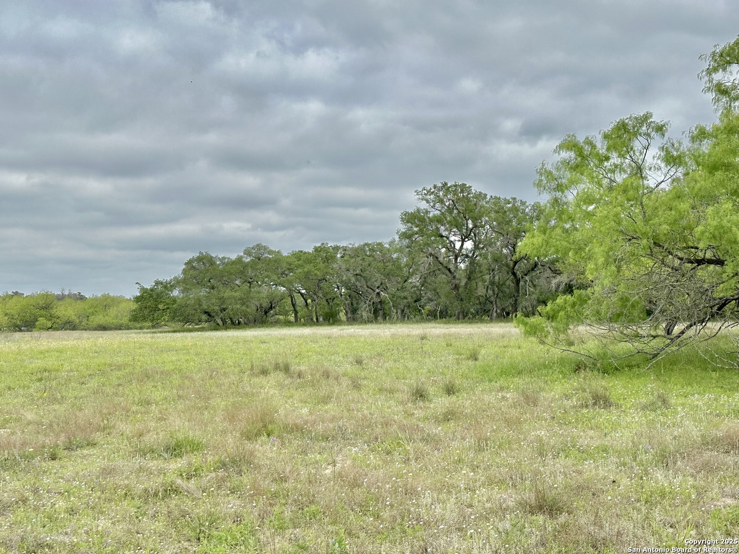 7711 Devine Tx 78016 Devine, TX 78016 - Photo 35 of 51 a view of outdoor space and yard