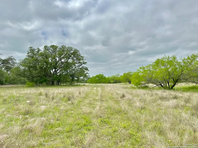 a view of a swimming pool with a yard