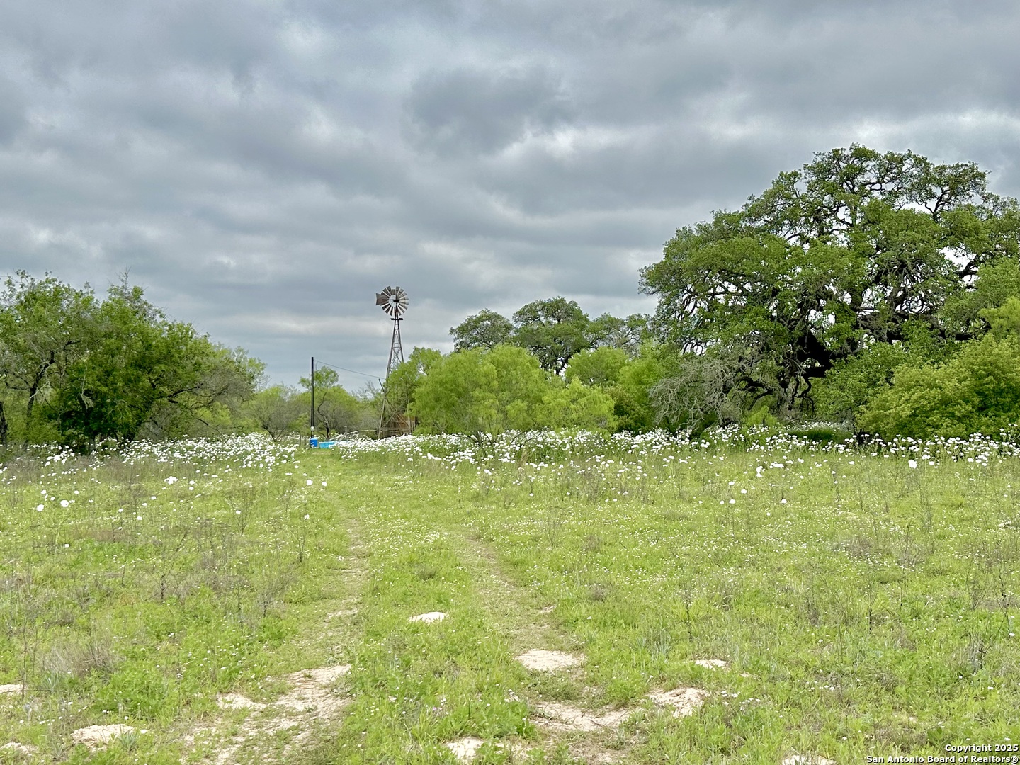 7711 Devine Tx 78016 Devine, TX 78016 - Photo 37 of 51 a view of a big yard with lots of green space