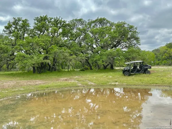 a view of a field with an ocean