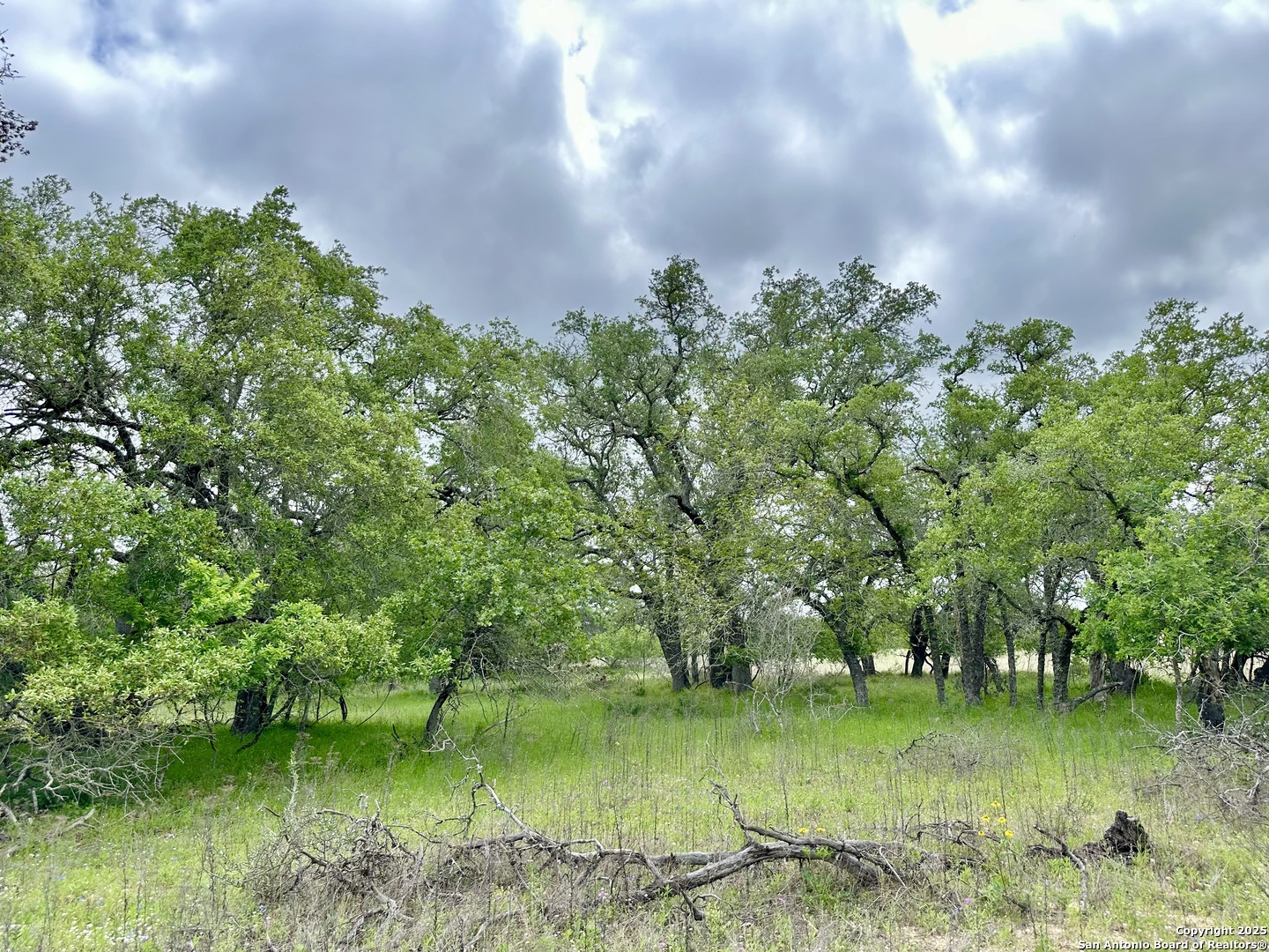 7711 Devine Tx 78016 Devine, TX 78016 - Photo 41 of 51 a view of a lake with a yard