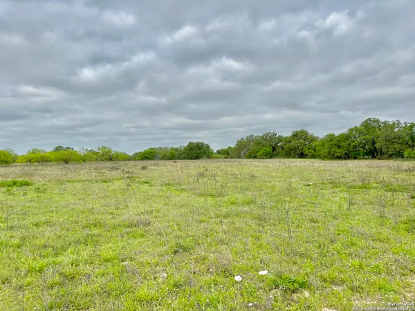 a view of a lake with a yard