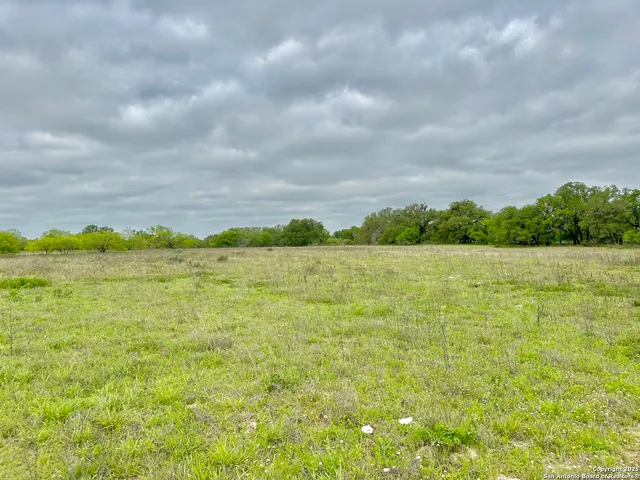 a view of a lake with a yard