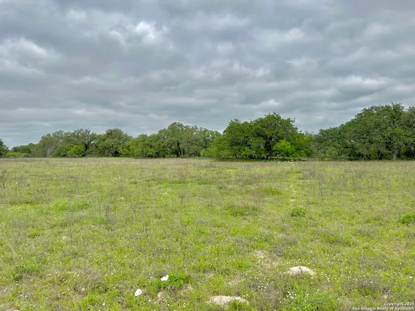 a view of a yard with a fountain