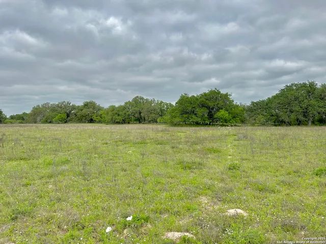 a view of a yard with a fountain