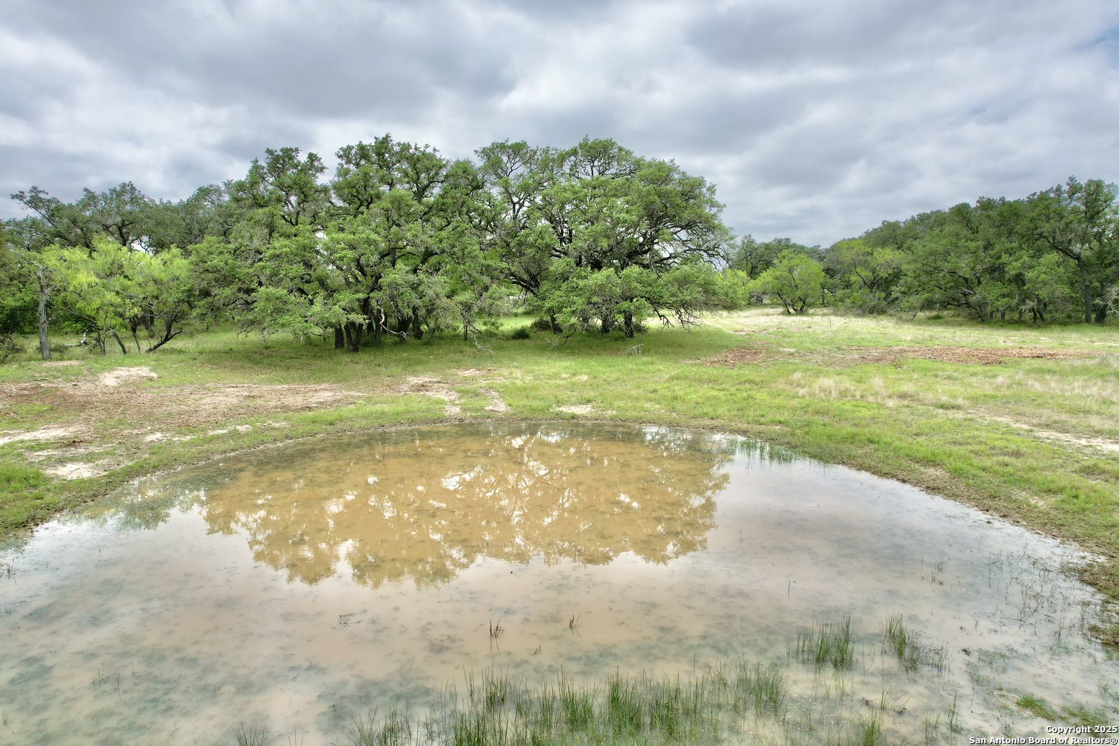 7711 Devine Tx 78016 Devine, TX 78016 - Photo 47 of 51 a view of a yard with a fountain