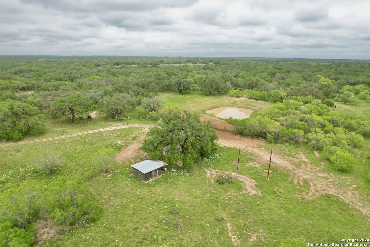 7711 Devine Tx 78016 Devine, TX 78016 - Photo 5 of 51 a view of a big yard with large trees