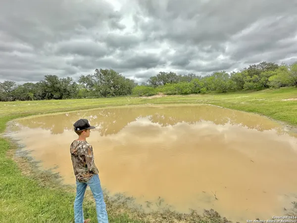 a swimming pool with some trees in the background