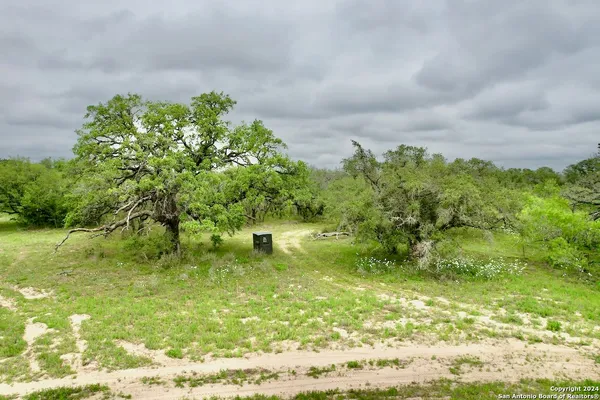 a view of yard with green space