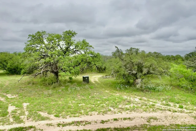 a view of yard with green space