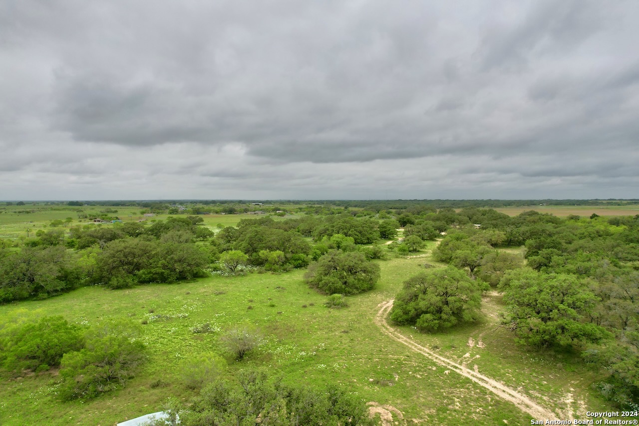7711 Devine Tx 78016 Devine, TX 78016 - Photo 10 of 51 a view of yard with green space