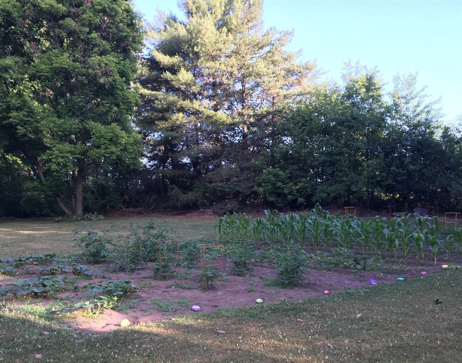 12531 Crowe Road Milan, MI 48160 - Photo 27 of 31 Photo 27