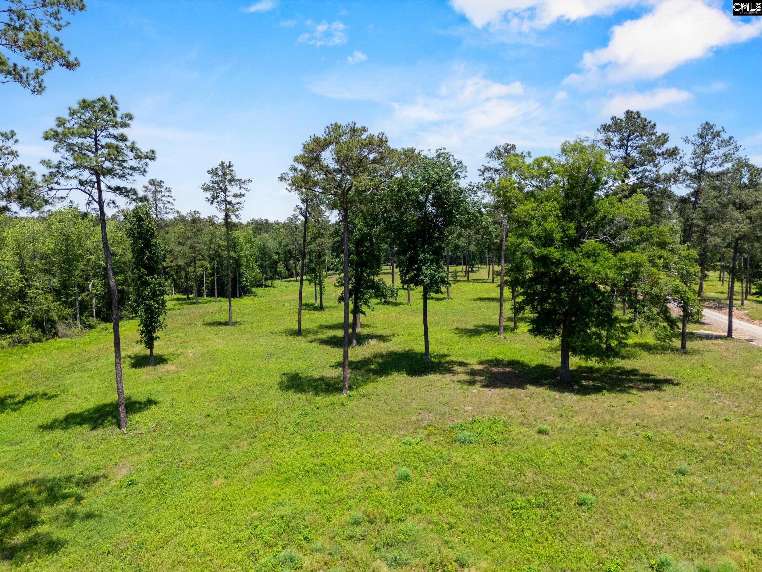 1626-01 Sumter Highway Rembert, SC 29128 - Photo 14 of 16