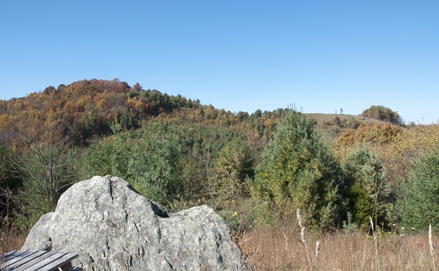 a view of a mountain