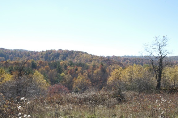 1207 Black Ridge Road Southwest Floyd, VA 24091 - Photo 16 of 37 a view of mountain view with lots of trees