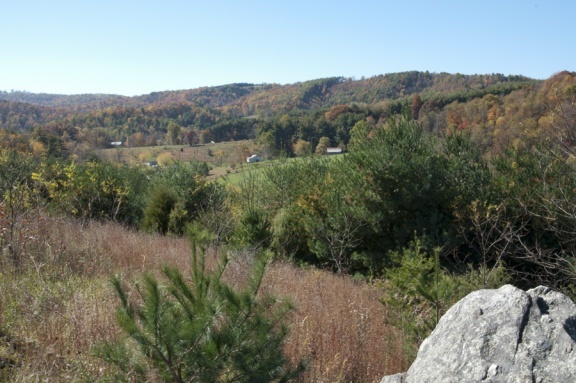 1207 Black Ridge Road Southwest Floyd, VA 24091 - Photo 21 of 37 a view of a lake with a mountain in the background