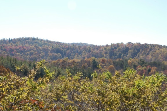 1207 Black Ridge Road Southwest Floyd, VA 24091 - Photo 31 of 37 a view of a bunch of trees in a field
