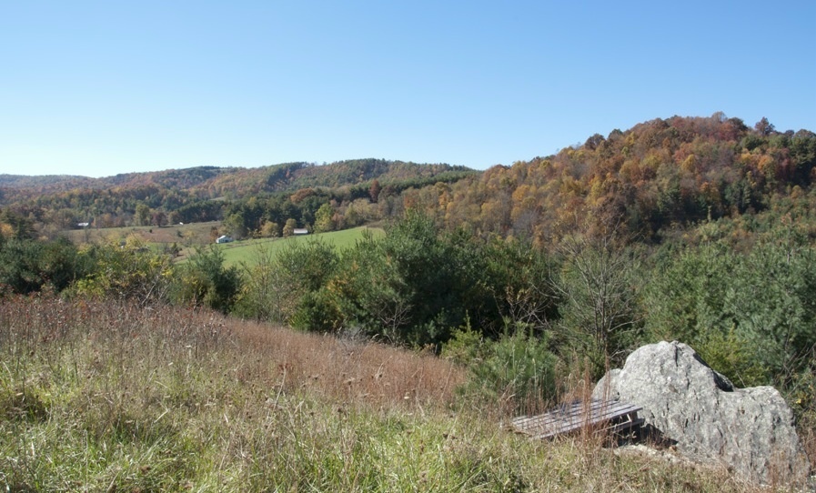 1207 Black Ridge Road Southwest Floyd, VA 24091 - Photo 4 of 37