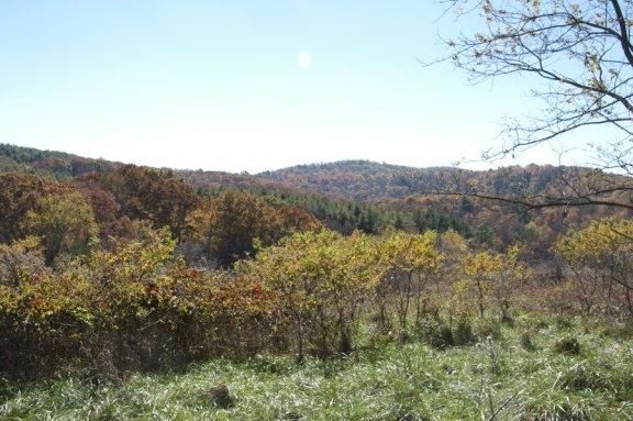 1207 Black Ridge Road Southwest Floyd, VA 24091 - Photo 5 of 37 a view of a lake with mountains in the background