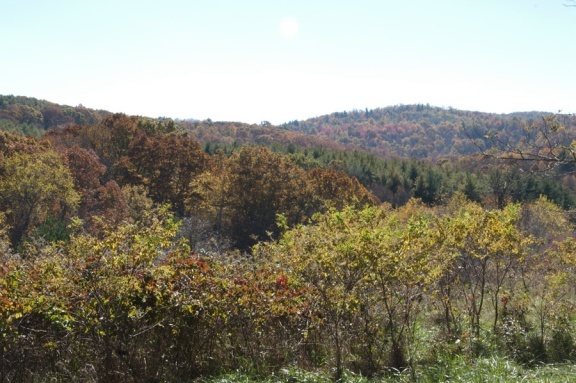 1207 Black Ridge Road Southwest Floyd, VA 24091 - Photo 6 of 37 a view of a house with a mountain in the background