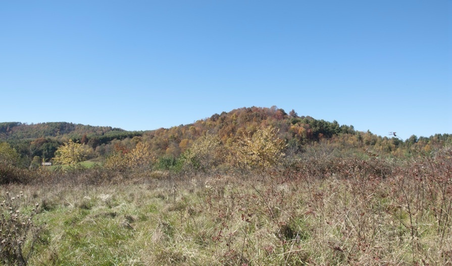 1207 Black Ridge Road Southwest Floyd, VA 24091 - Photo 8 of 37 a view of a mountain range with trees in the background