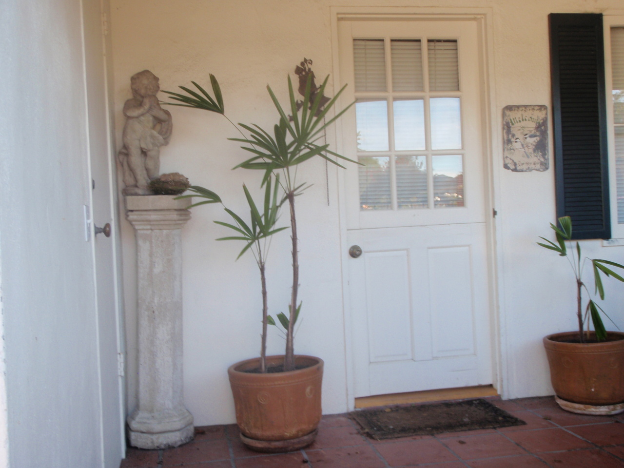 612 Alston Road Santa Barbara, CA 93103 - Photo 18 of 21 a potted plant sitting next to a window