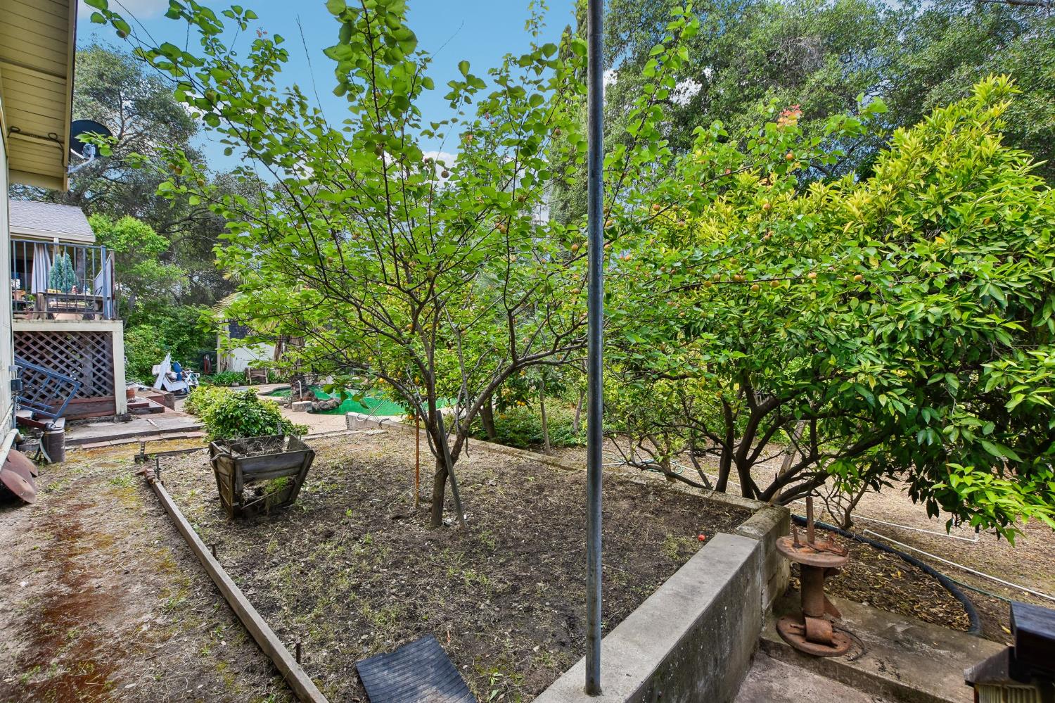 6180 Rustic Hills Drive Rocklin, CA 95677 - Photo 28 of 37 a view of a backyard with sitting area