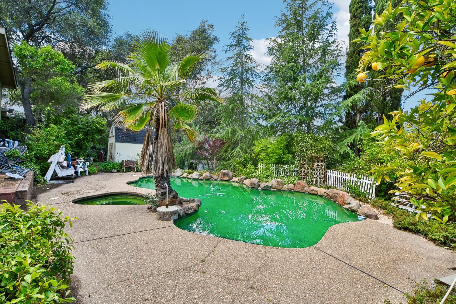 6180 Rustic Hills Drive Rocklin, CA 95677 - Photo 29 of 37 a view of a garden with a tree