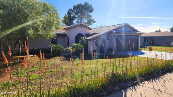 a view of a backyard with plants