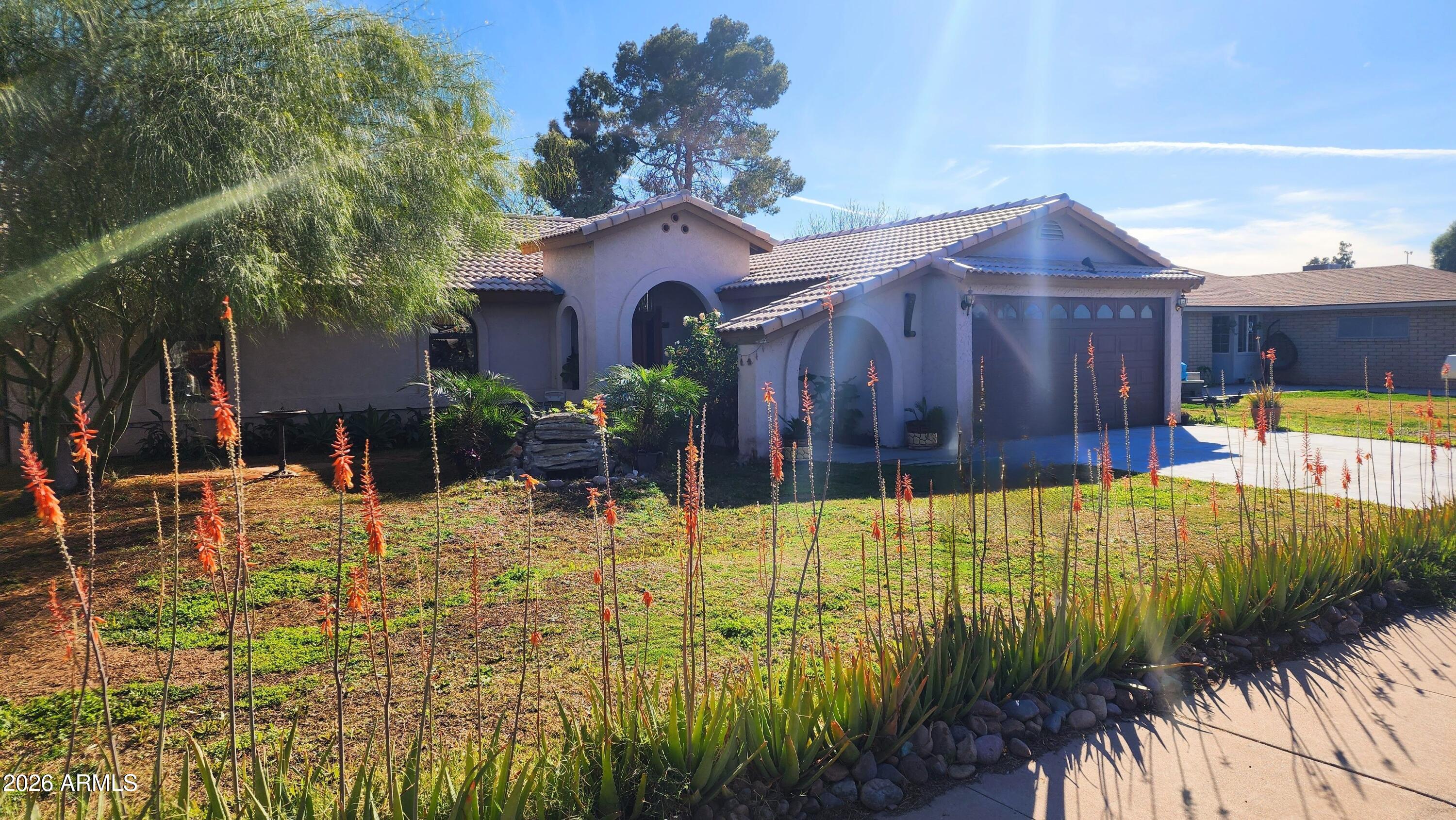 a view of a backyard with plants
