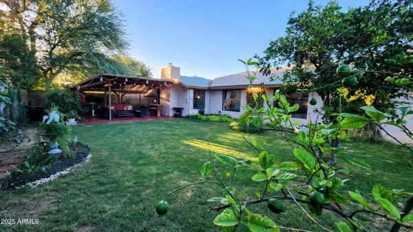 a view of a house with a big yard potted plants and a large tree