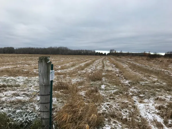 $320,000 | 0 West M-48, Rudyard, MI 49780