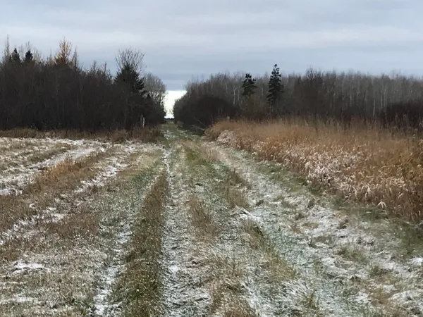 $320,000 | 0 West M-48, Rudyard, MI 49780