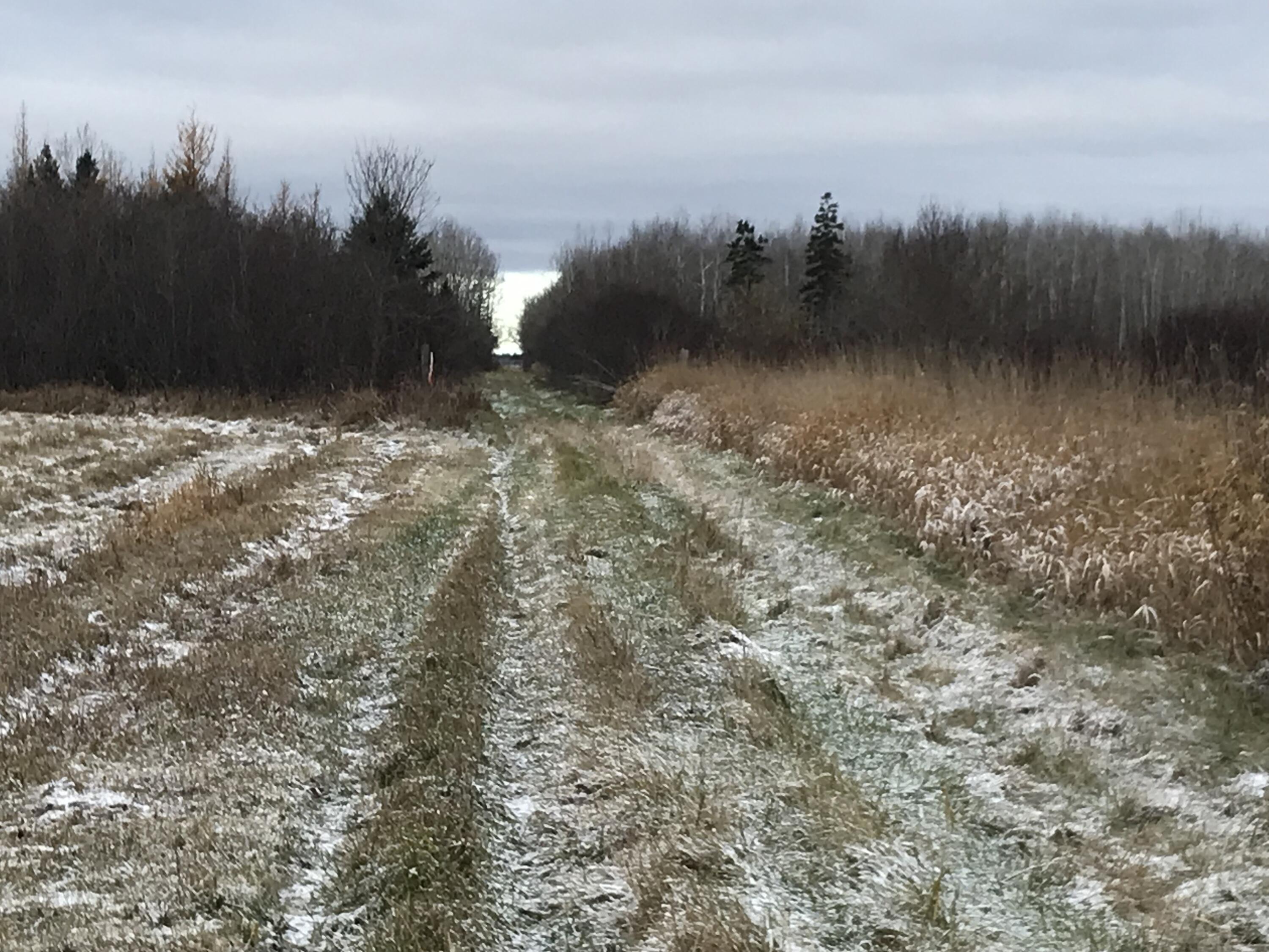 0 West M-48 Rudyard, MI 49780 - Photo 2 of 5 2