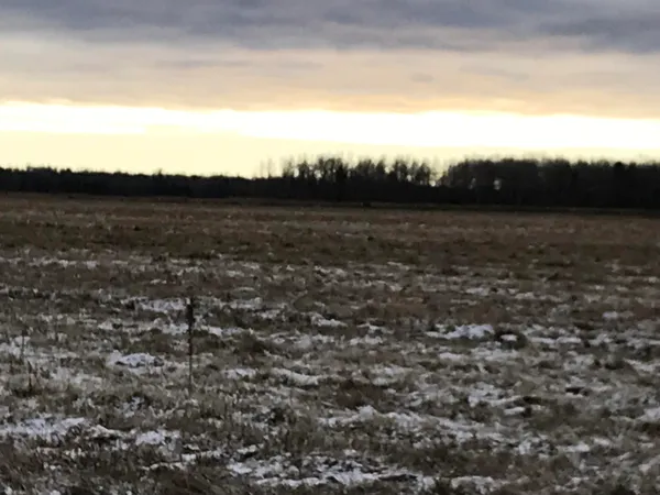 $320,000 | 0 West M-48, Rudyard, MI 49780