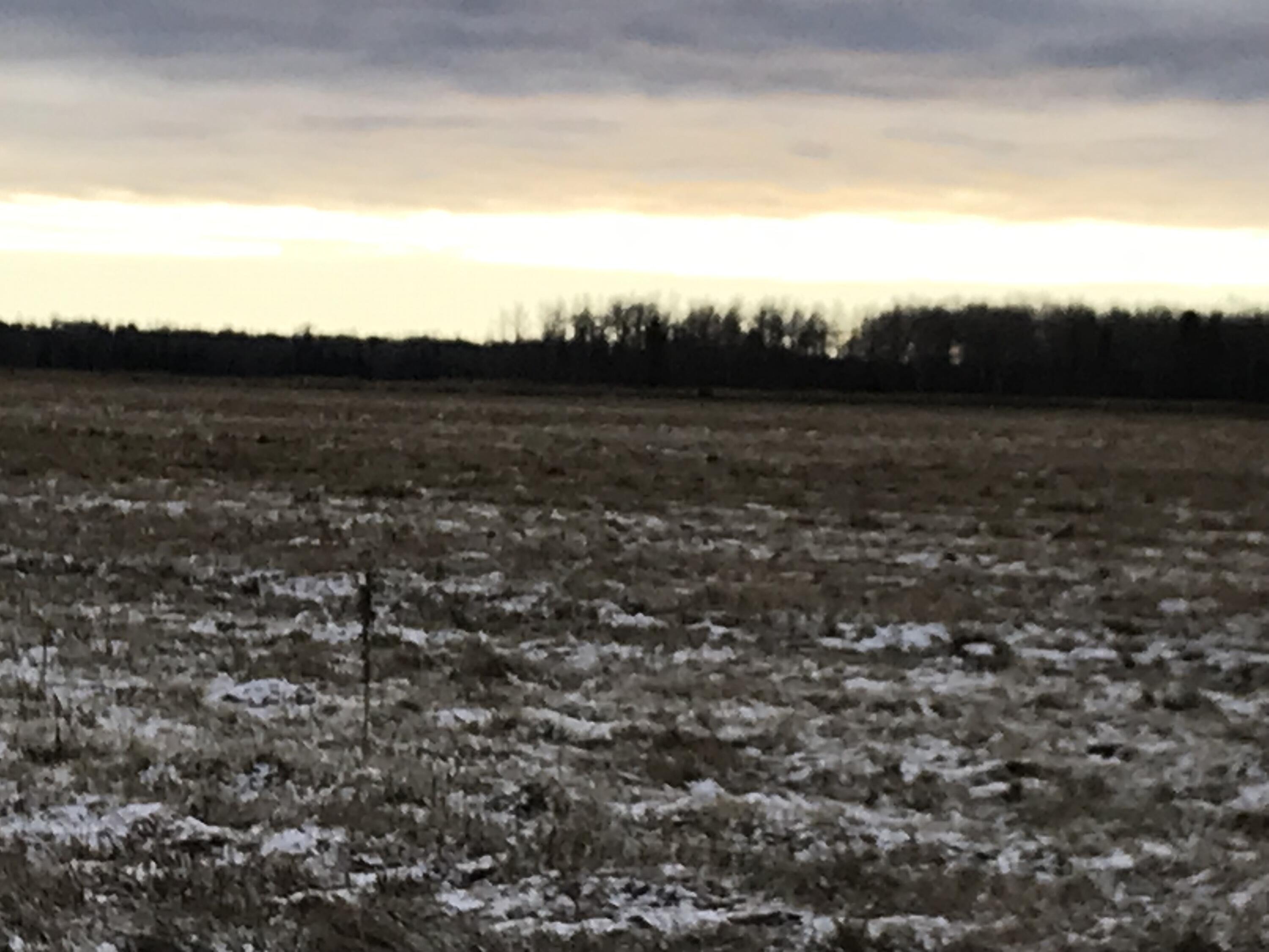 0 West M-48 Rudyard, MI 49780 - Photo 4 of 5 4